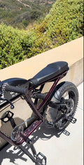 Super 73 Rear foot pegs